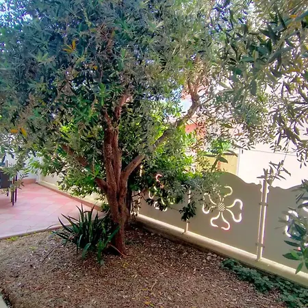 Quadrilocale Cod 498 公寓 马瑟利