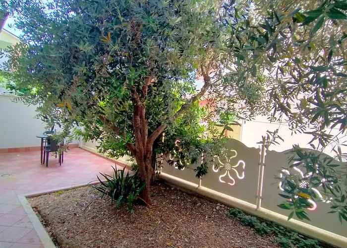 Quadrilocale 50 Mt Dal Mare Taunus Vacanze Cod 498 Apartment Marcelli